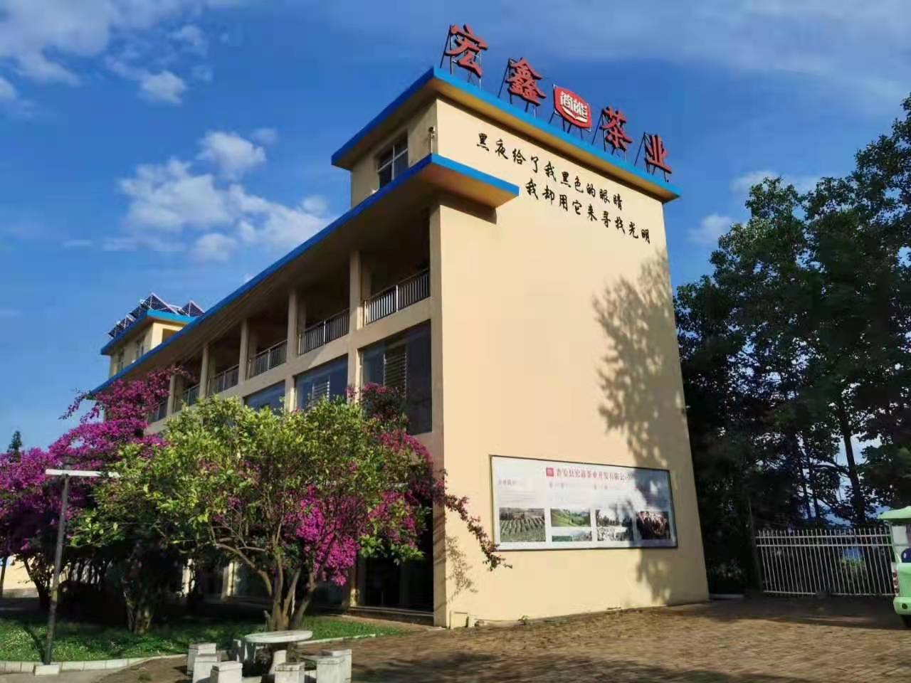 会员风采六